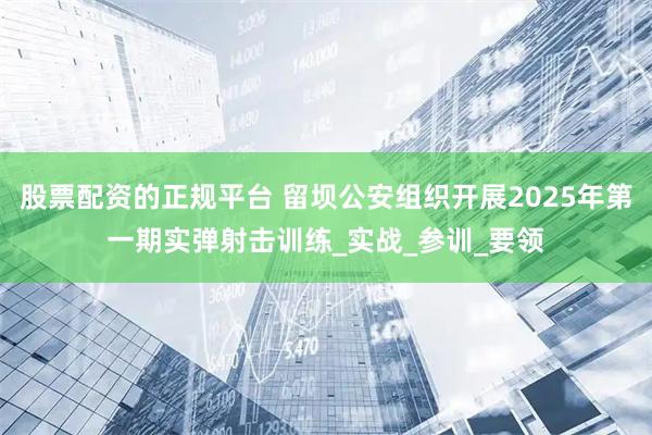股票配资的正规平台 留坝公安组织开展2025年第一期实弹射击训练_实战_参训_要领